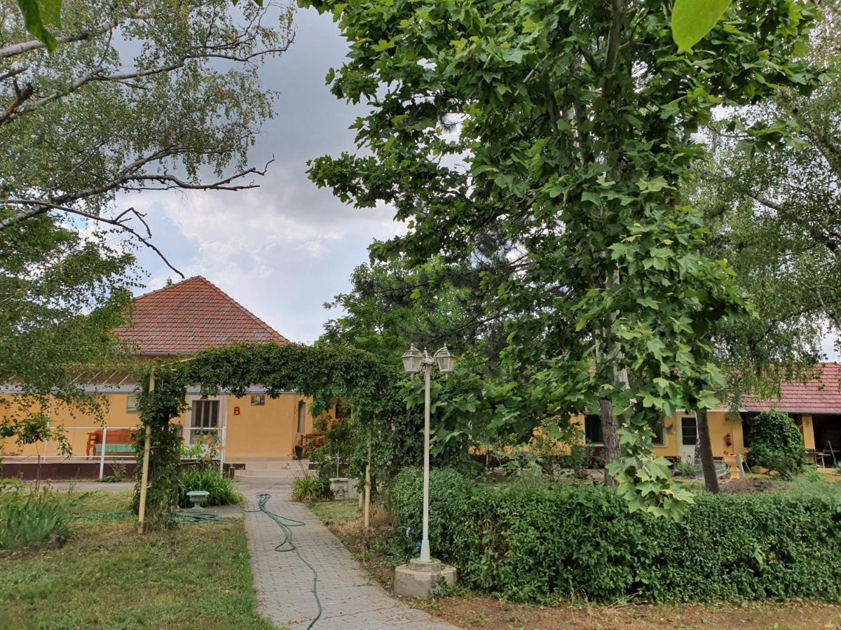 Platán Szálláshely Sándorfalva Kültér fotó