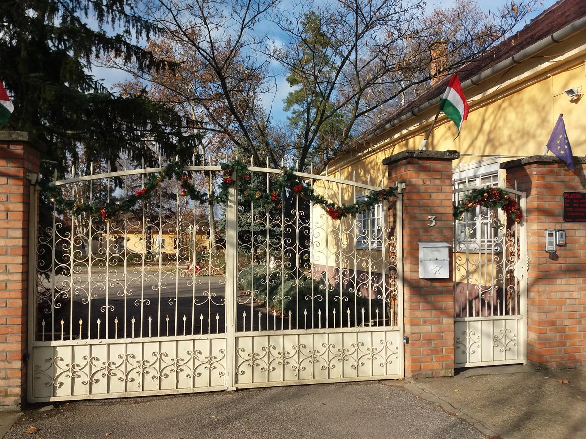 Platán Szálláshely Sándorfalva Kültér fotó